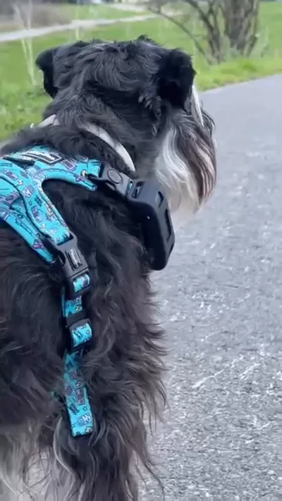 sua.onix_.sora_and.famil_