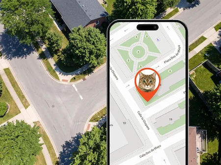 Finder Portal auf dem Smartphone mit identifizierter Katze