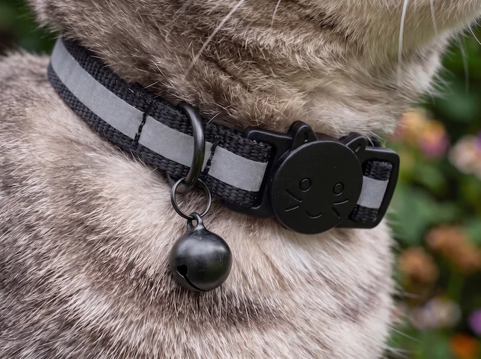 Nahaufnahme des Pet Finder 4G Mini an einer Katze